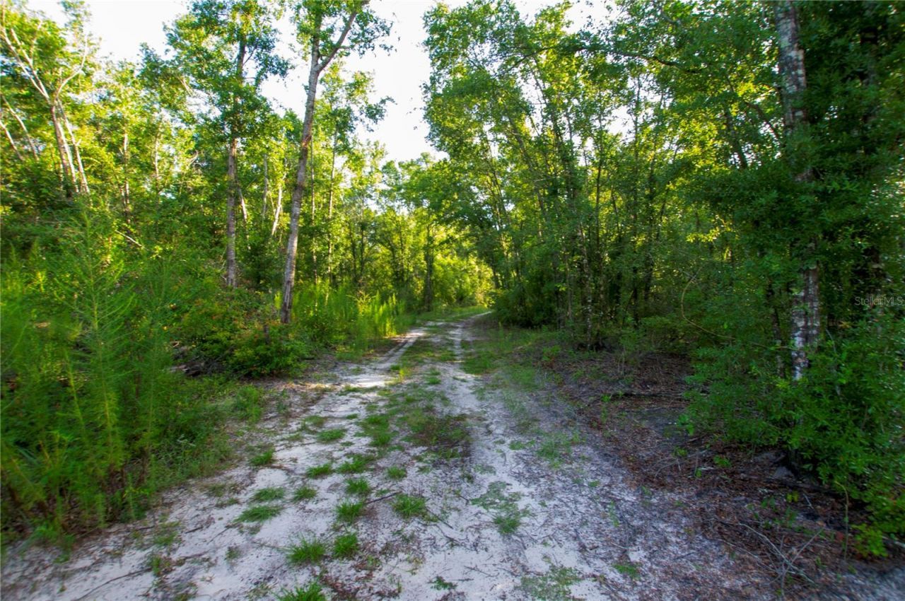 18233 185th Rd, Live Oak, FL 32060 Photo