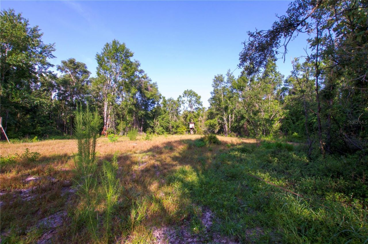 18233 185th Rd, Live Oak, FL 32060 Photo