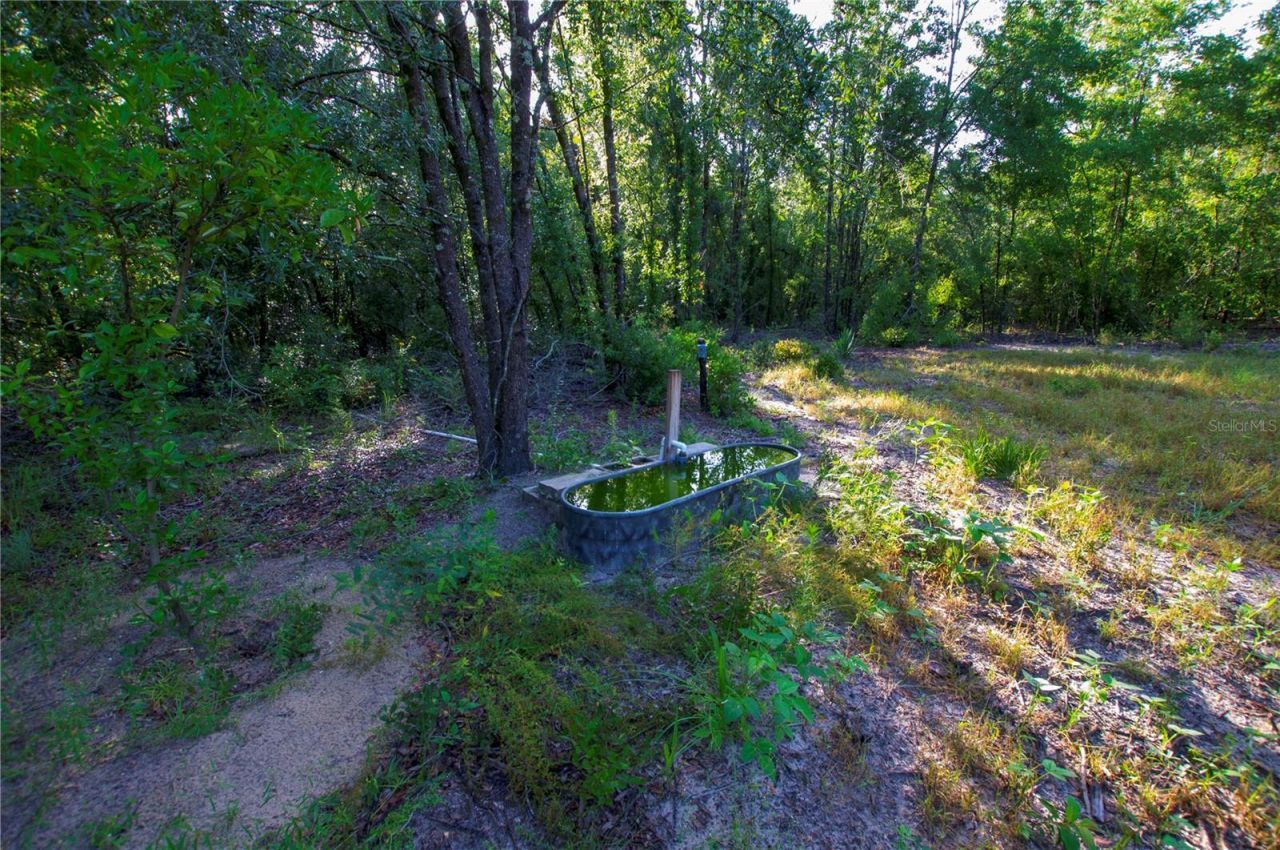 18233 185th Rd, Live Oak, FL 32060 Photo