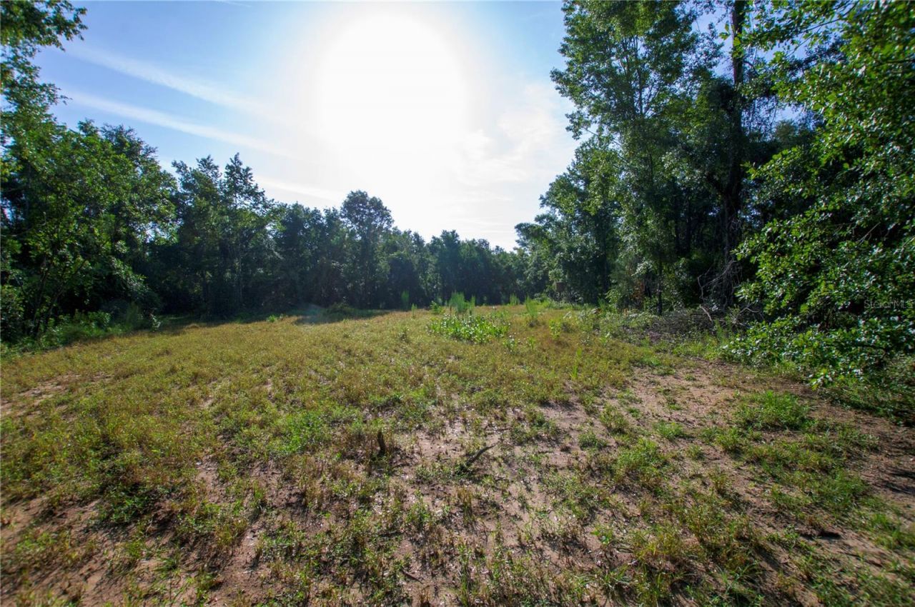 18233 185th Rd, Live Oak, FL 32060 Photo
