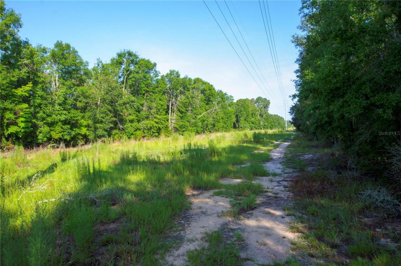 18233 185th Rd, Live Oak, FL 32060 Photo
