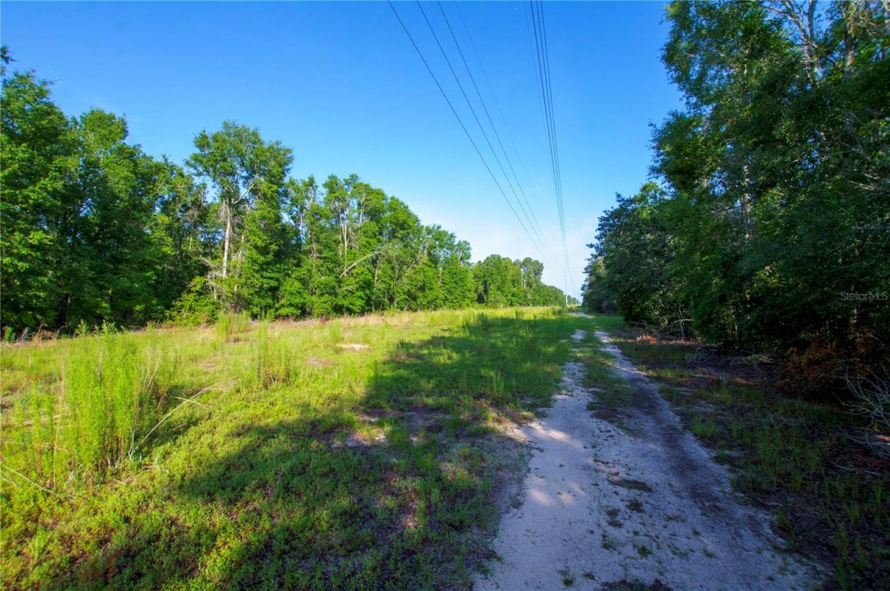 18233 185th Rd, Live Oak, FL 32060 Photo