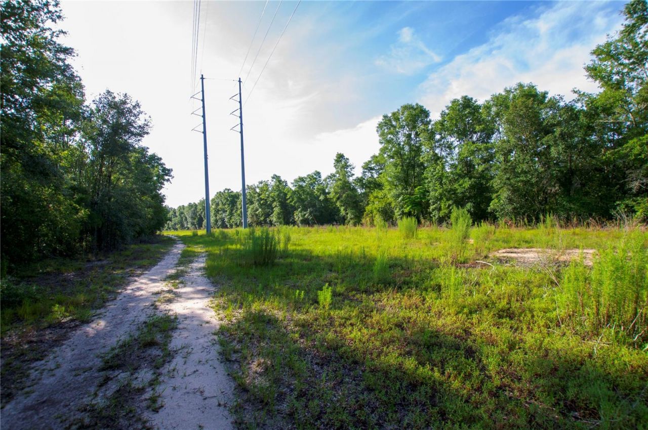18233 185th Rd, Live Oak, FL 32060 Photo