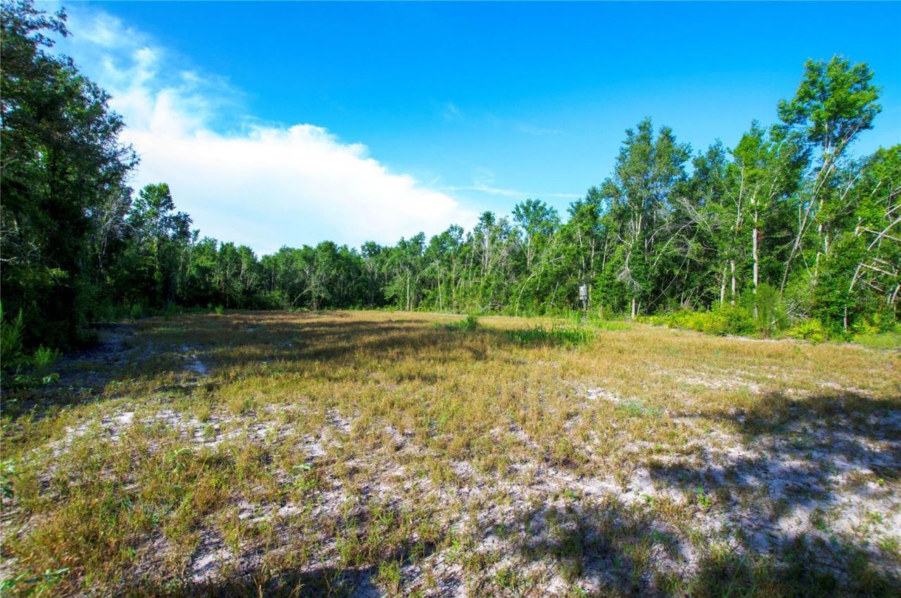 18233 185th Rd, Live Oak, FL 32060 Photo