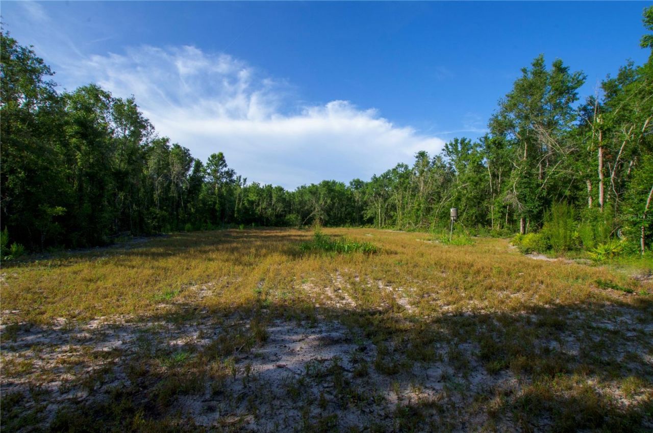 18233 185th Rd, Live Oak, FL 32060 Photo