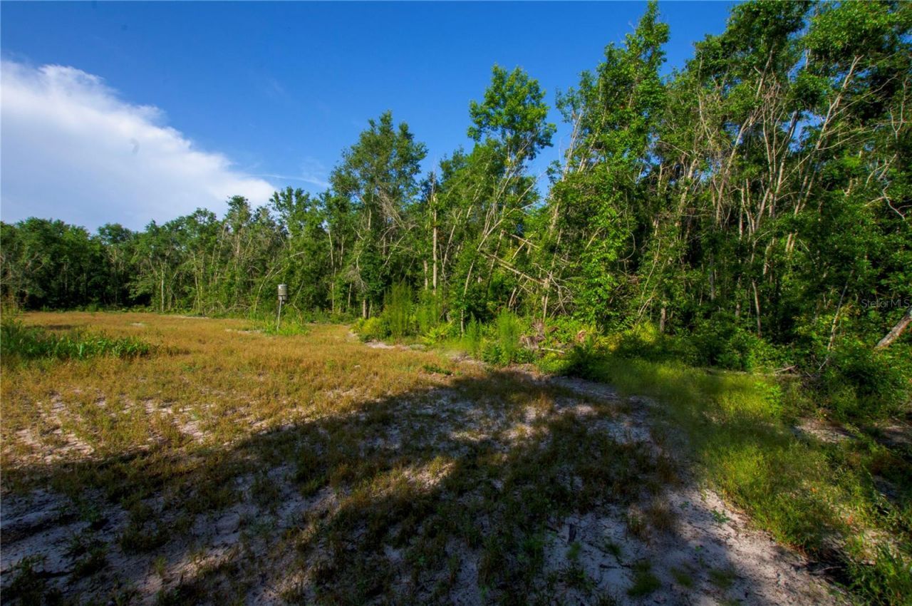 18233 185th Rd, Live Oak, FL 32060 Photo
