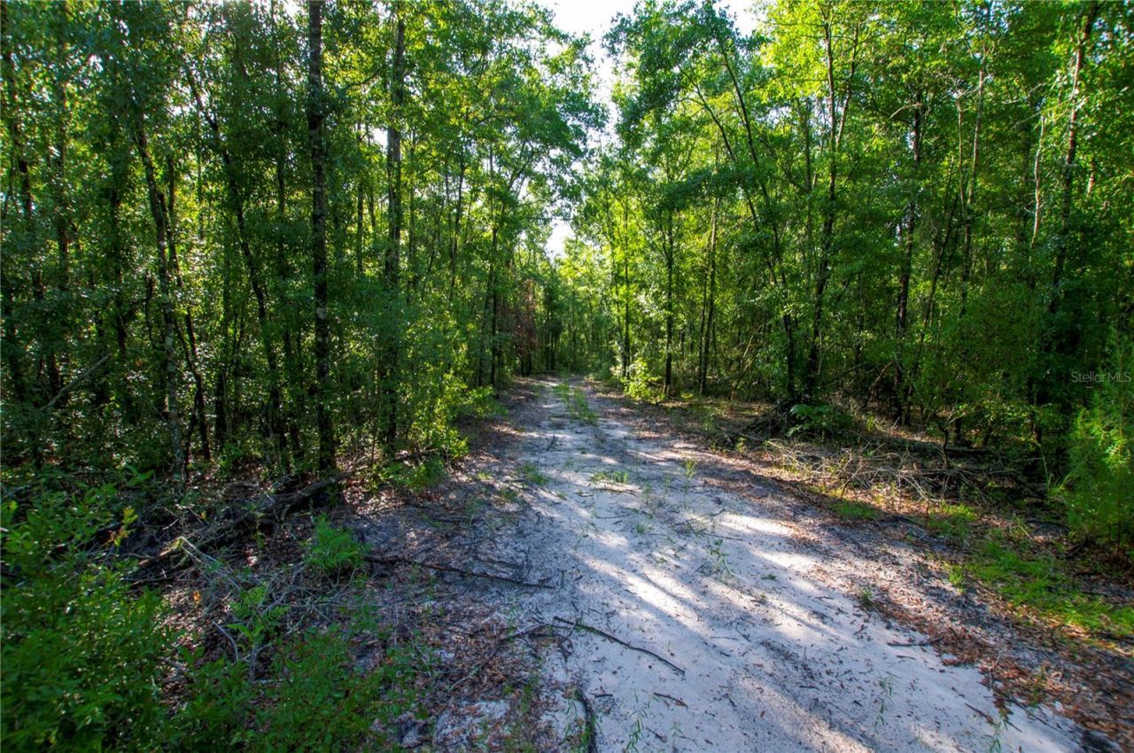 18233 185th Rd, Live Oak, FL 32060 Photo