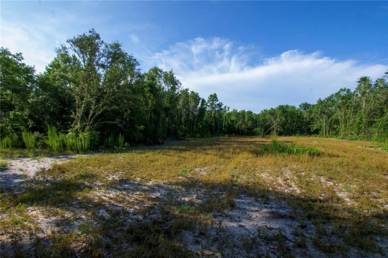 18233 185th Rd, Live Oak, FL 32060 Photo