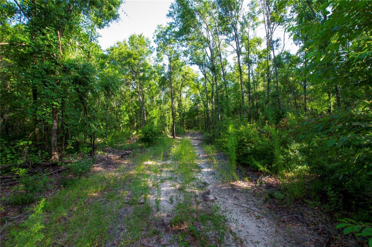 18233 185th Rd, Live Oak, FL 32060 Photo