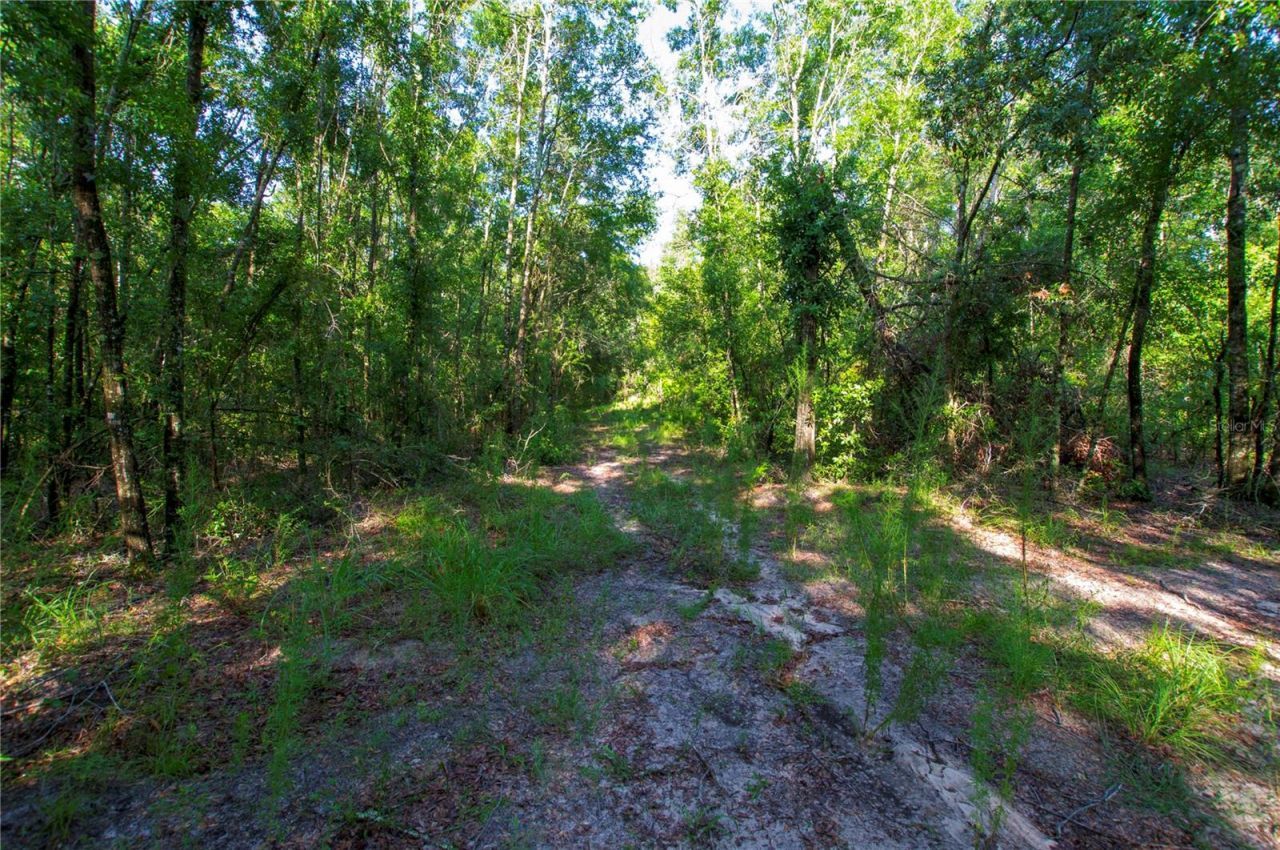18233 185th Rd, Live Oak, FL 32060 Photo