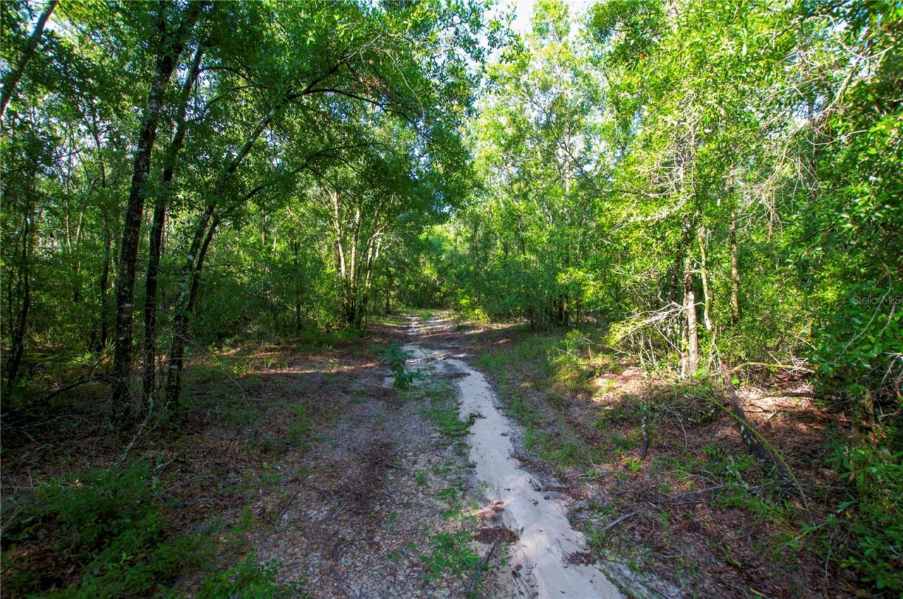 18233 185th Rd, Live Oak, FL 32060 Photo