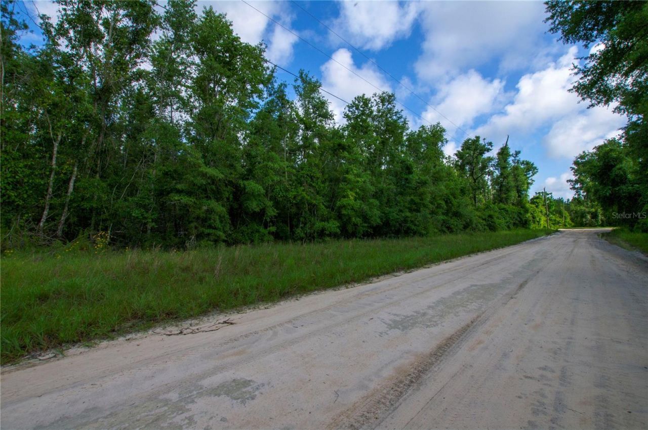 18233 185th Rd, Live Oak, FL 32060 Photo