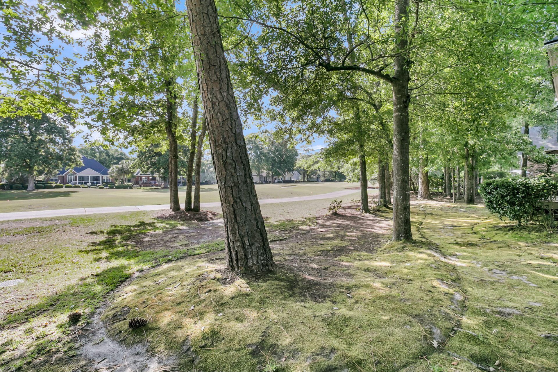 8729 Herons Walk Photo 46