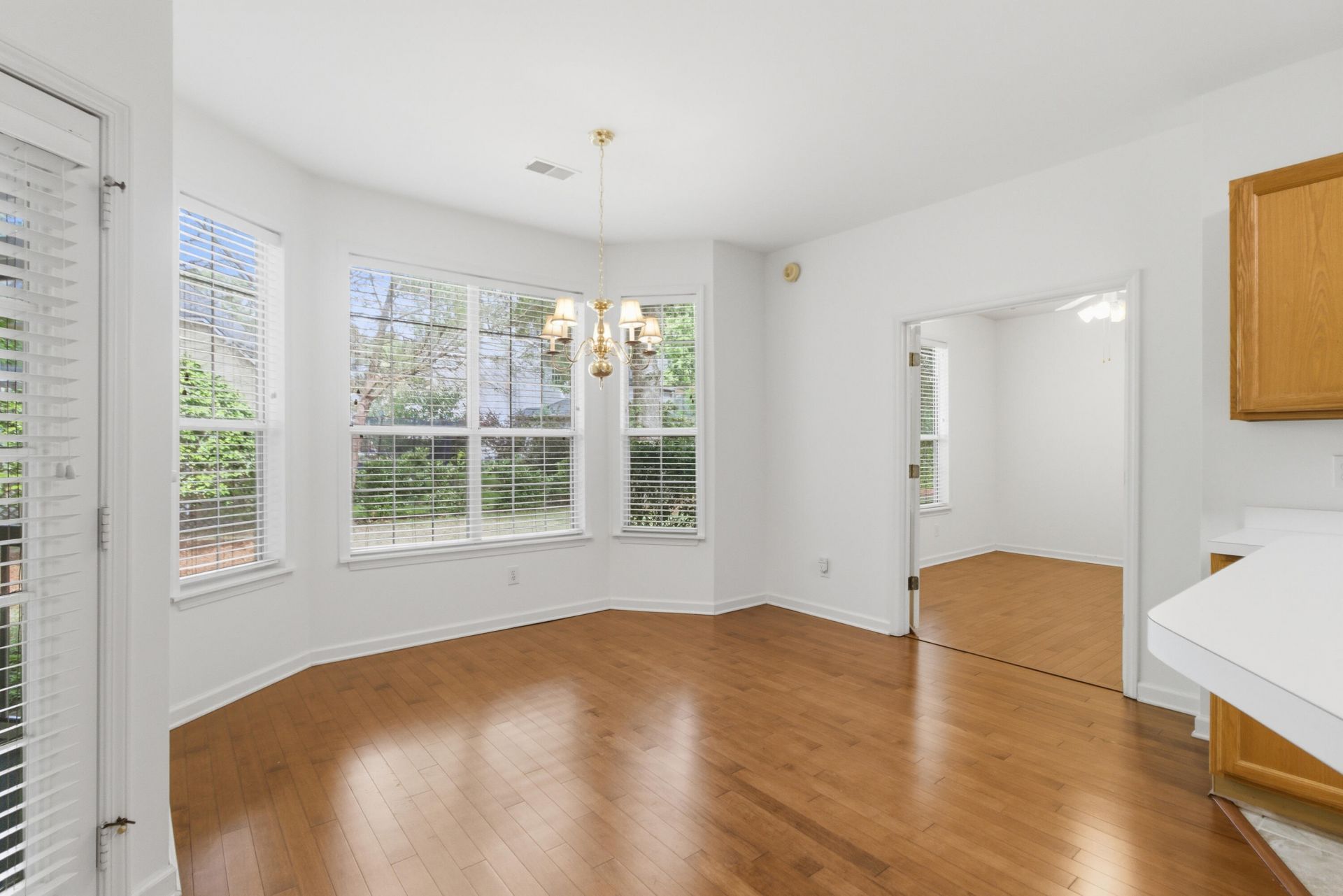 1219 Colfax Court Photo 9