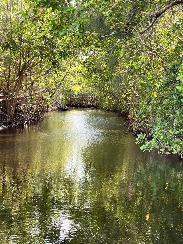 4300 Riverside Drive , Unit 109, Punta Gorda, FL 33982 Photo