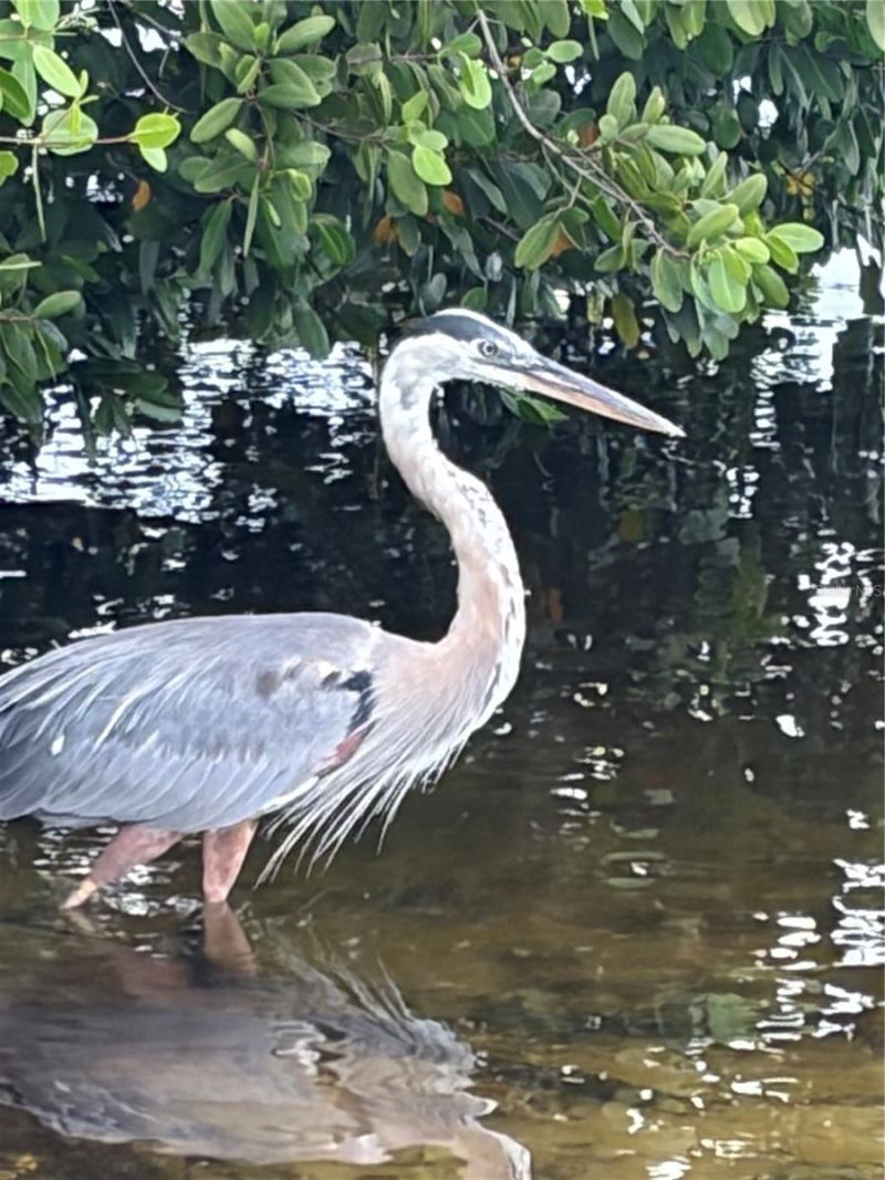 4300 Riverside Drive , Unit 109, Punta Gorda, FL 33982 Photo