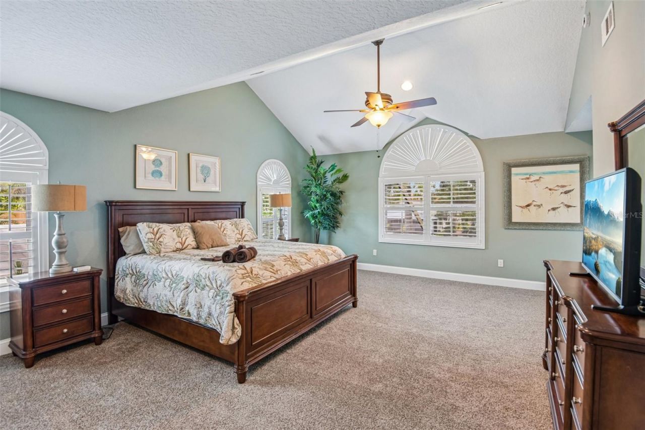 3157 N Canal Drive, Palm Harbor, FL 34684 Photo