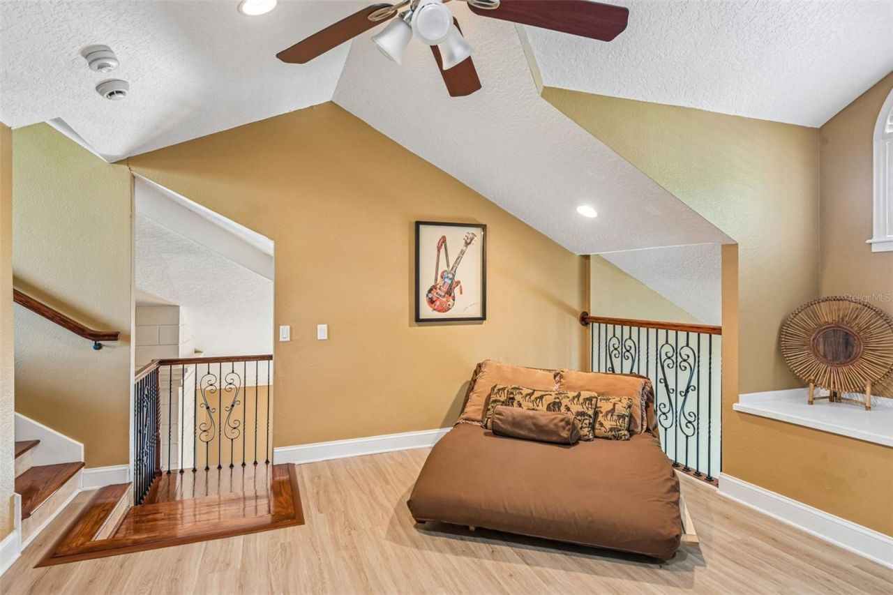 3157 N Canal Drive, Palm Harbor, FL 34684 Photo
