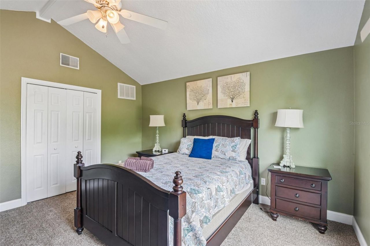3157 N Canal Drive, Palm Harbor, FL 34684 Photo