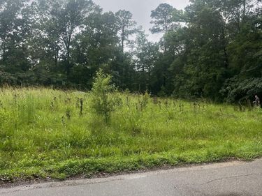 19925 Perrin Ferry Rd, Springfield, LA 70462