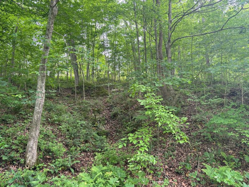 31551 Bensonhaver Road , Logan, OH 43138 Photo 2