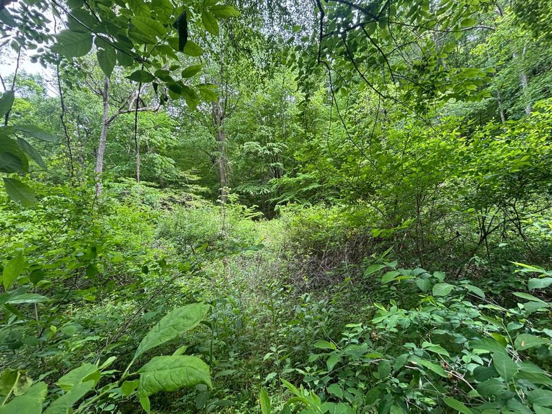 31551 Bensonhaver Road , Logan, OH 43138 Photo 9