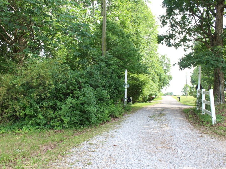 Property Image 35