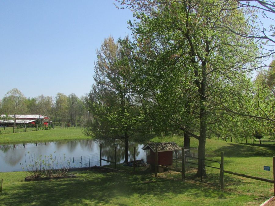 Property Image 29