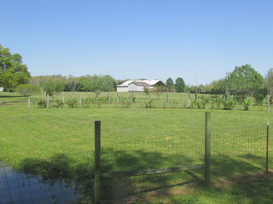 Property Image 35