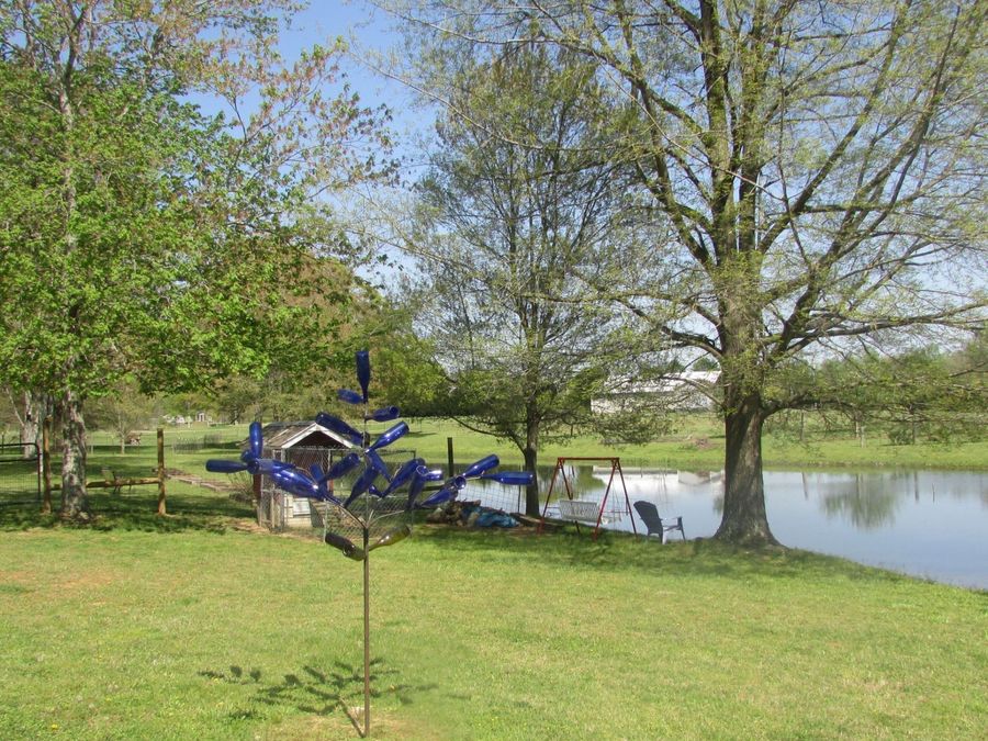 Property Image 41