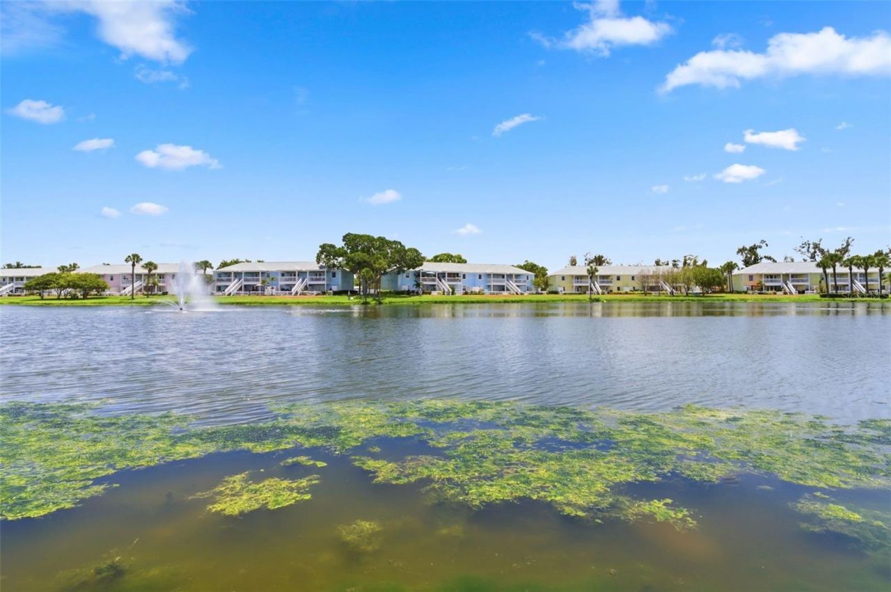 144 Pompano Drive Se, Unit A, Saint Petersburg, FL 33705 Photo