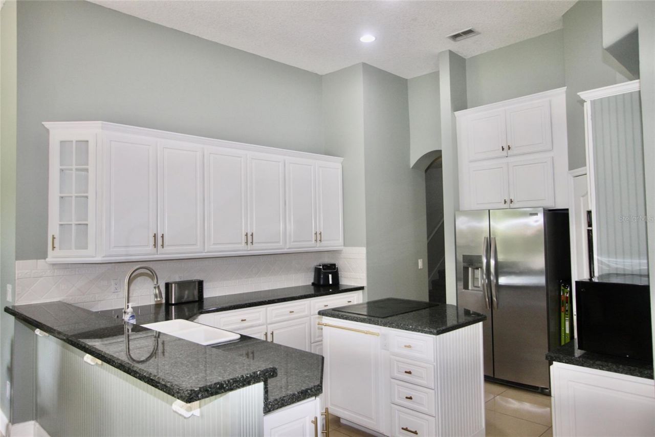 9041 Laurel Ridge Drive , Mount Dora, FL 32757 Photo