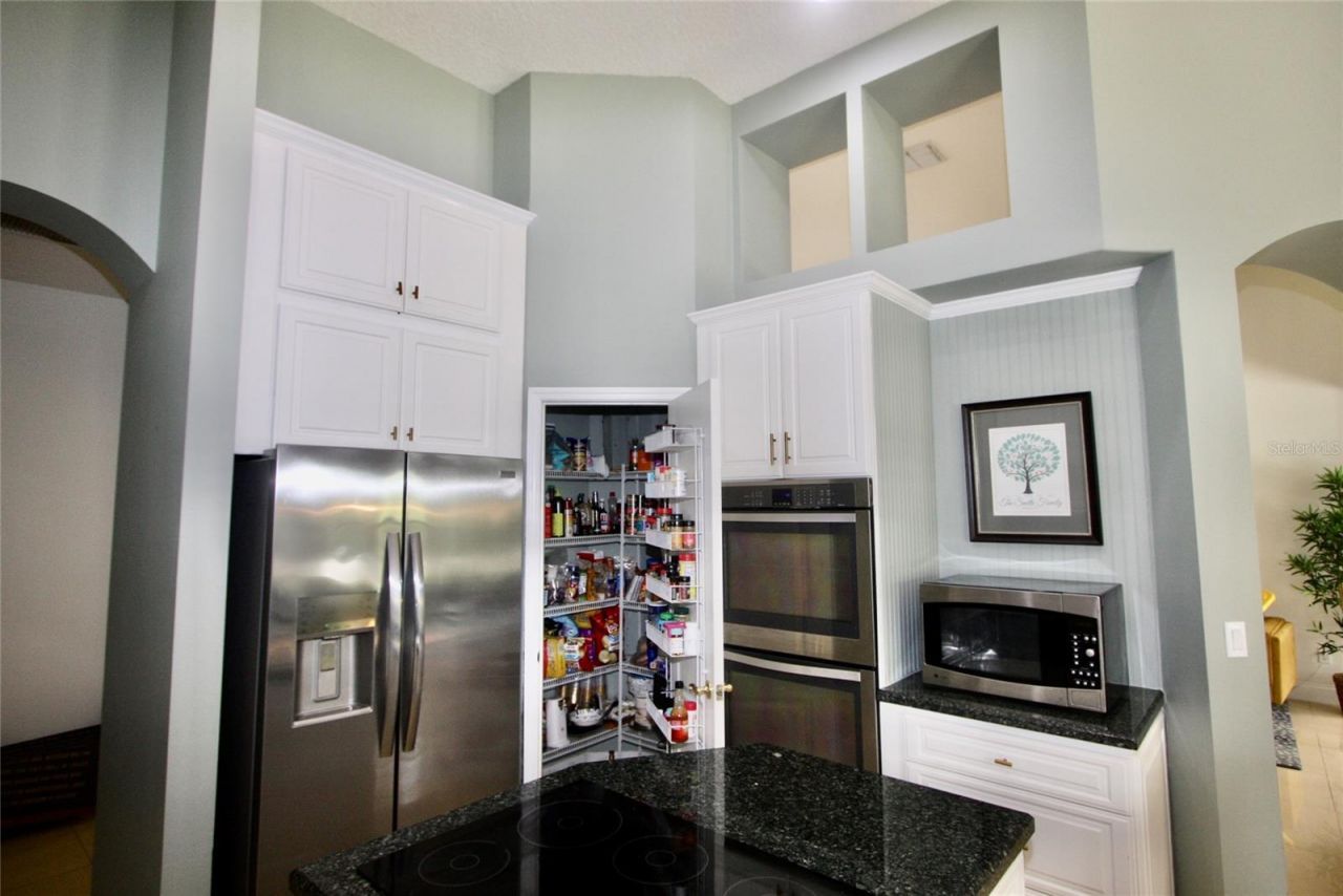 9041 Laurel Ridge Drive , Mount Dora, FL 32757 Photo