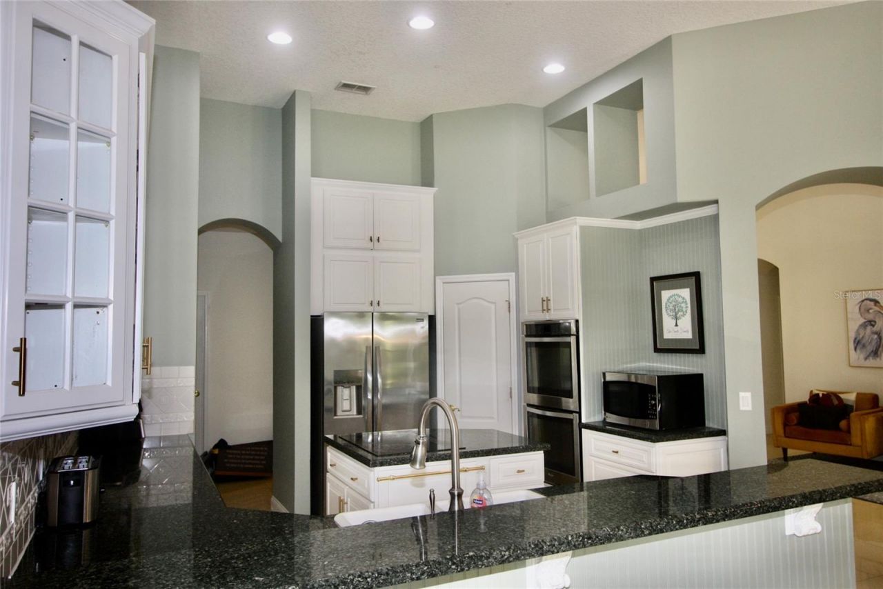9041 Laurel Ridge Drive , Mount Dora, FL 32757 Photo