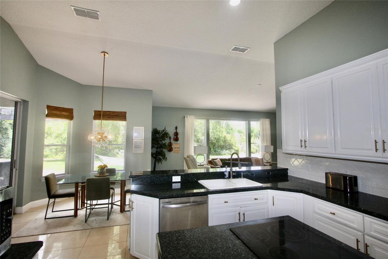 9041 Laurel Ridge Drive , Mount Dora, FL 32757 Photo
