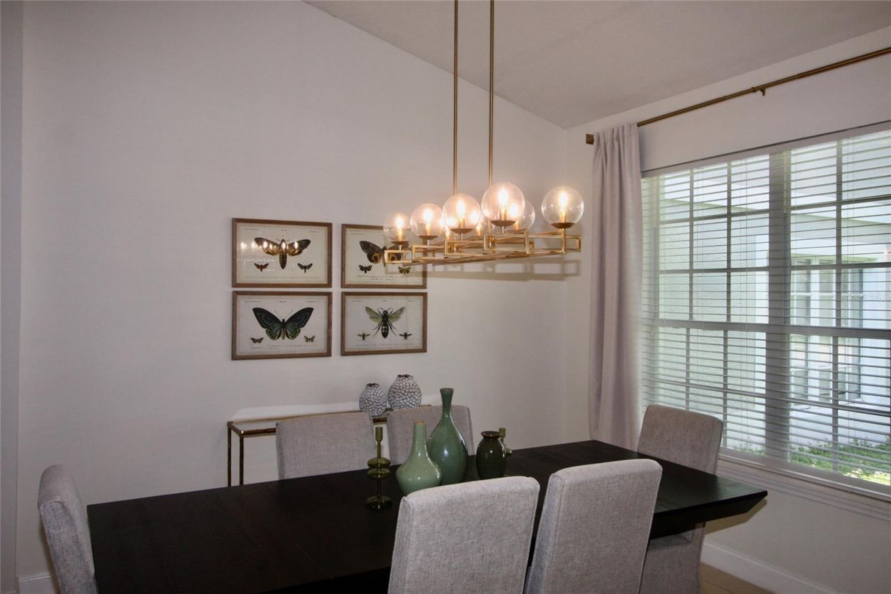 9041 Laurel Ridge Drive , Mount Dora, FL 32757 Photo