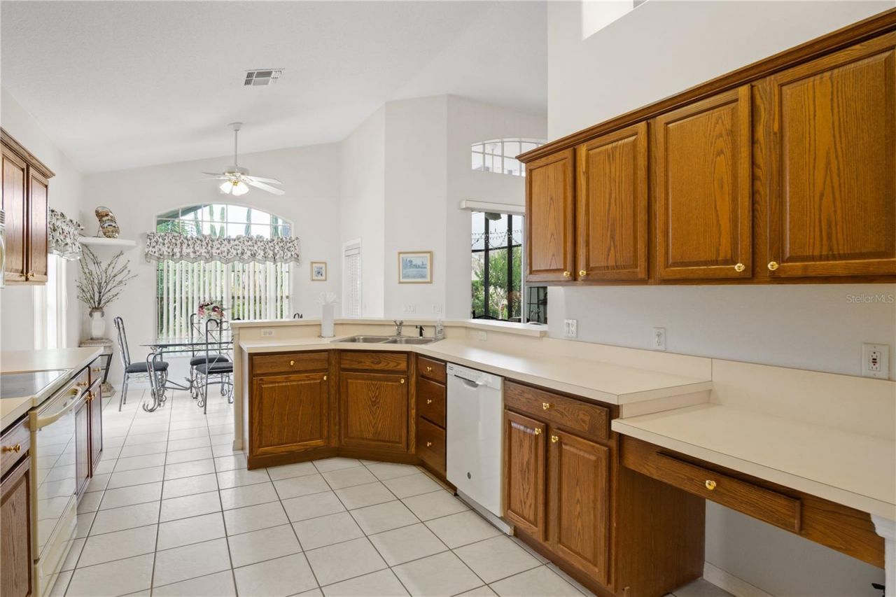 223 Ridge View Drive, Davenport, FL 33837 Photo
