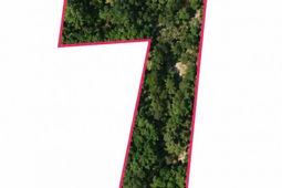 174 Chevy Lane  photo 4
