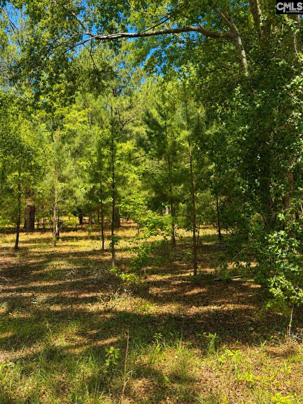 174 Chevy Lane  Photo 6