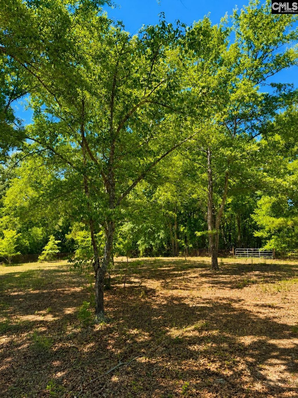 174 Chevy Lane  Photo 7