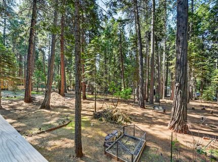 20191 Kit Ct, Volcano, CA 95689 Photo