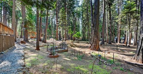 20191 Kit Ct, Volcano, CA 95689 Photo