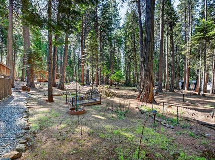 20191 Kit Ct, Volcano, CA 95689 Photo