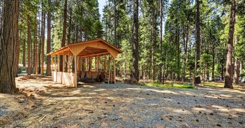 20191 Kit Ct, Volcano, CA 95689 Photo