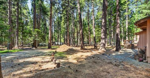 20191 Kit Ct, Volcano, CA 95689 Photo
