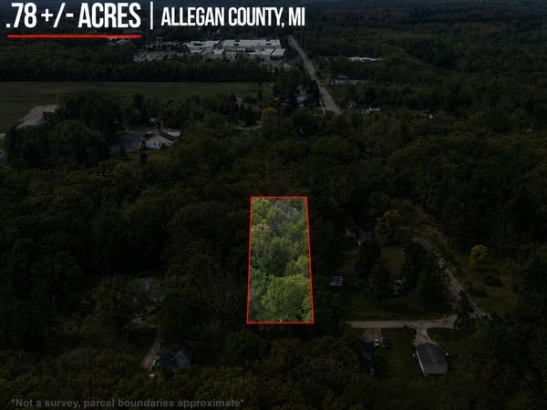 202 Lowe Street, Allegan, MI 49010