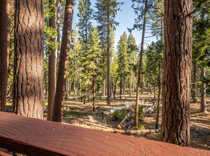 2177 Yana Ln, Dorrington, CA 95223 Photo