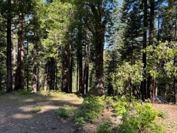 1619 Shoshone, Dorrington, CA 95223