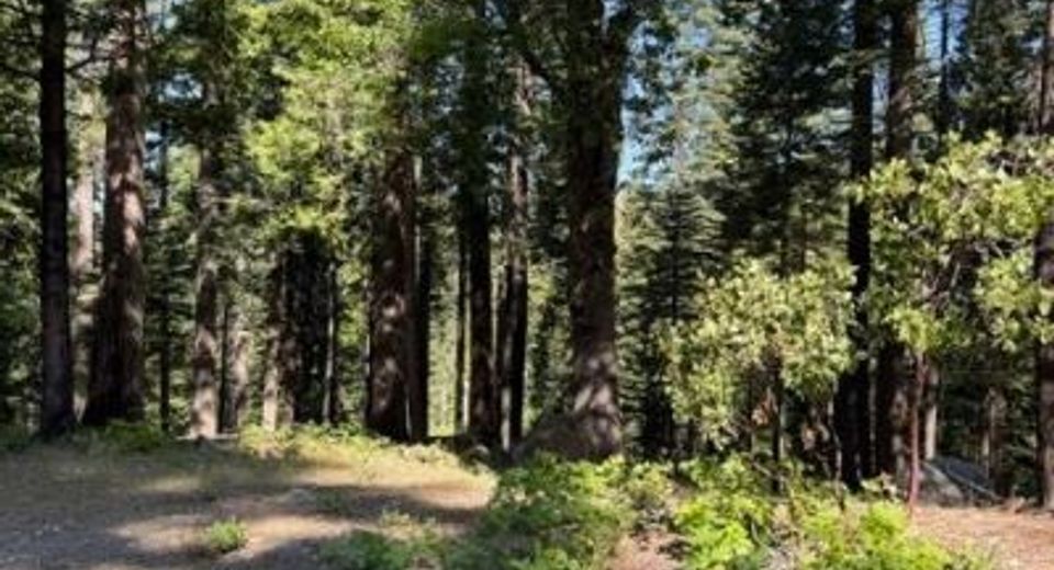 1619 Shoshone, Dorrington, CA 95223 Photo