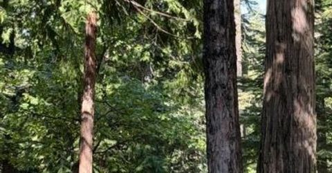 1619 Shoshone, Dorrington, CA 95223 Photo